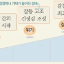 로맨틱힐 이미지