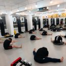 계림 팀맥짐 이미지