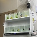 전주명가옥24시콩나물국밥 이미지