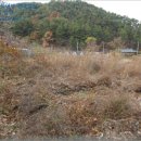 완월동168 이미지