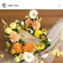 가온화 이미지