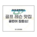 에스디골프클럽 이미지
