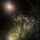 좋은하루캠핑장 이미지