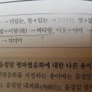 밭이랑반니랑 이미지