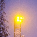 수원-0213 이미지