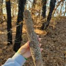 서창2동-25 이미지