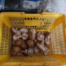 두리농장1 이미지