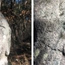 석불입상(石佛立像) 이미지