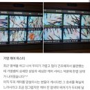 운정스타필드 미용실 헤드스파 후기 로엘바이아이디헤어 운정점 가영 케어마스터