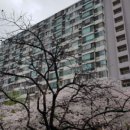 5단지 연합상가 이미지