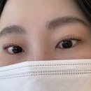 눈이 편한 신촌속눈썹 스튜디오라인빈 속눈썹펌 후기