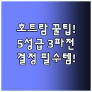 종합휴양지로 | 숨겨진 휴양지 호 트람의 비밀 5성급 리조트 인터컨티넨탈 멜리아 홀리데이 인 핵심 비교