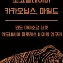 커피더호랑이