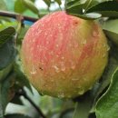 반월농장 이미지