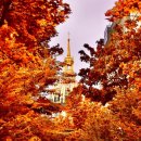 터미널  안경 이미지