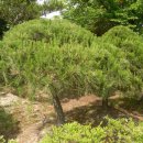 이백농장 이미지