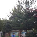 태암초등 이미지