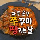 매콤,탱글! 파주 운정 "쭈꾸미 땡기는 날" 마성의 매운 맛 후기