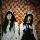 파라키스 이미지