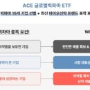 글로벌ACE 이미지
