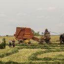 우리영농조합법인 농장 이미지