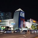 로이휘트니스