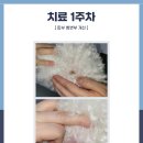 고척 원 동물의료센터 이미지