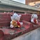 가덕도리얼민박비로네 이미지