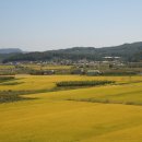 (주)정다운세상
