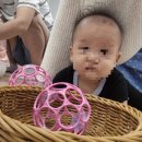 팡팡, 공룡으로 변신 | 문화센터 :: 이마트 컬쳐클럽 북이랑 놀이랑 가을학기(6~11개월/나윤정 강사님)