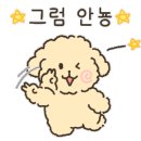 다올레 이미지