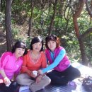 영옥농장 이미지