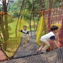 유아숲체험원(1) 이미지