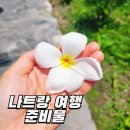 나트랑 여행 준비물 리스트 및 깜란공항 라운지 카드 팁