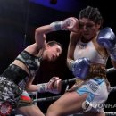 J World boxing 이미지