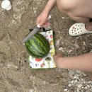 허니스테이 이미지