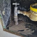 루몽 | 신속하게 해결해주시는 경기도 성남 루몽누수탐지집수리 수리업체