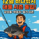 거제-동부-남부-비상-12 | 🔥 “12월 바다는 진짜배기만 살아남는다!”감성돔·학꽁치·열기 시즌 대폭발 시작 🎣