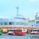 퍼센트홀덤