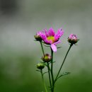 율곡수목원(2) 이미지