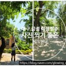 힐링산행과 문화탐방 | 대구 감성 여행 필수코스 ㅣ 청라언덕·이상화고택 산책 후기