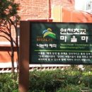 연천초교앞 이미지