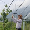 서면 월송3리 이미지