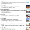 밝은최안과의원 | 조슈아트리 투어 조슈아트리 국립공원 날씨 미국 la 근교 여행 코스 추천