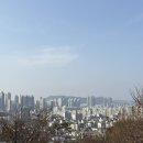 달서별빛캠프 캠핑장 | 대구 달서 도시뷰에서 즐기는 캠핑장 스팟 ‘달서별빛캠프’