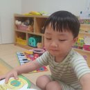 새싹반)9월1주 놀이이야기🚽🧻🐶🩲🦗 이미지