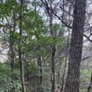 강천면행정복지센터 이미지