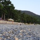 나로힐링펜션 이미지