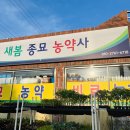 새봄종묘농약사 | 대구 현풍 모종파는 곳, 새봄 종묘 농약사