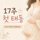 11260-2-37-17 | 첫 태동은 언제 느껴질까? 만 37세 넷째 임신, 17주에 드디어 확신한 태동 후기